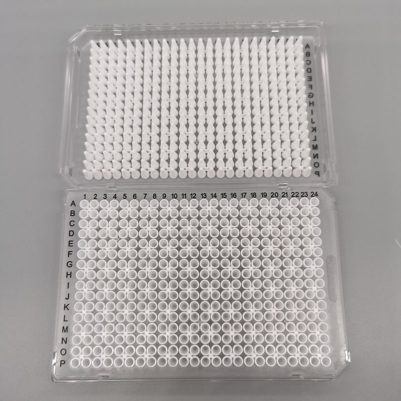 product-800-800
